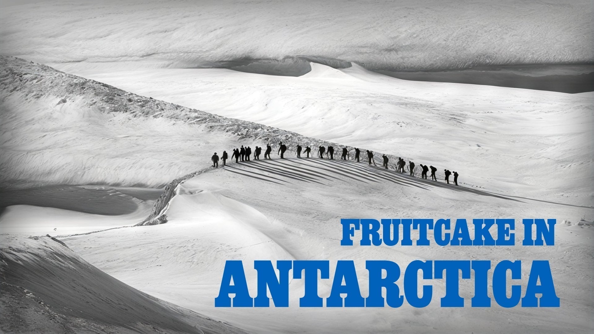Fruitcake in Antarctica