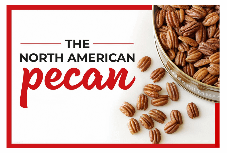 the-north-american-pecan