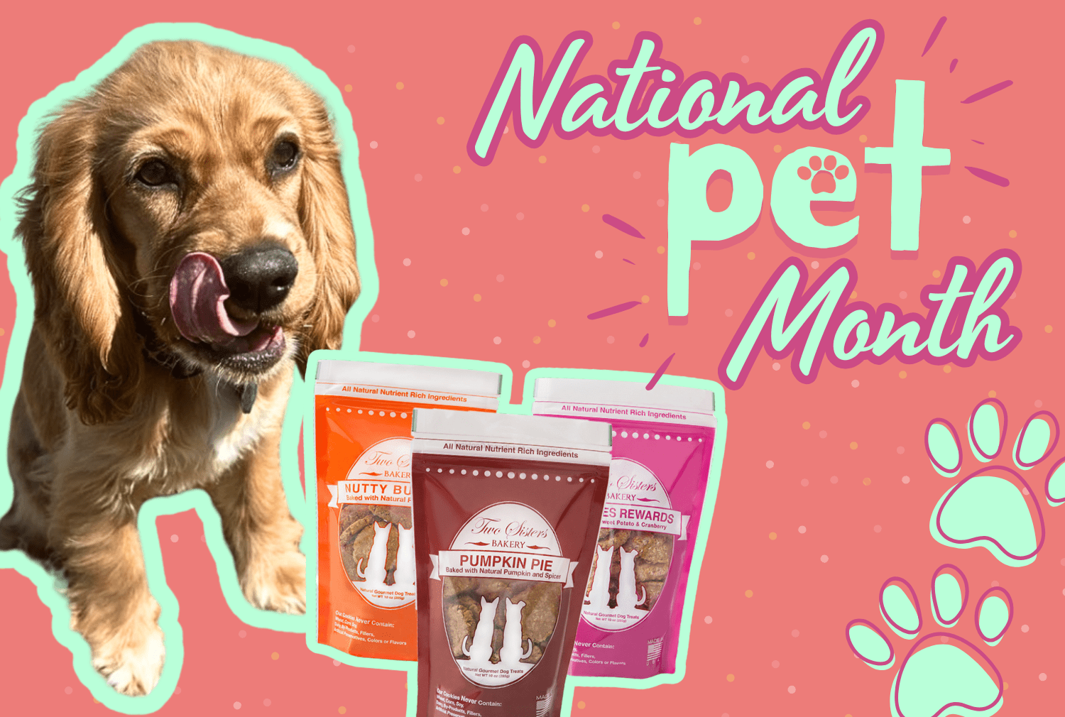 Celebrate National Pet Month With Collin Street Bakery's Dog Treats