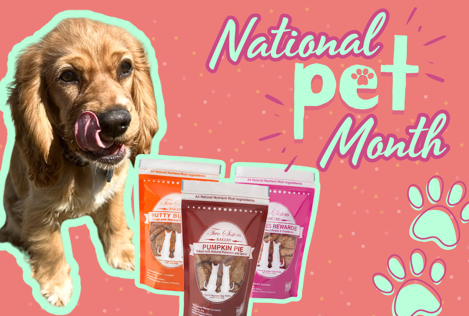 Celebrate National Pet Month with Collin Street Bakery’s Dog Treats!