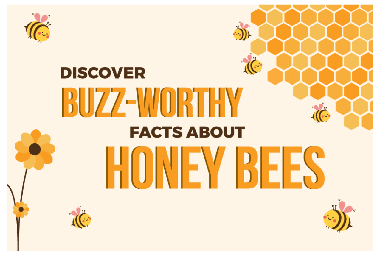 Celebrate World Honey Bee Day